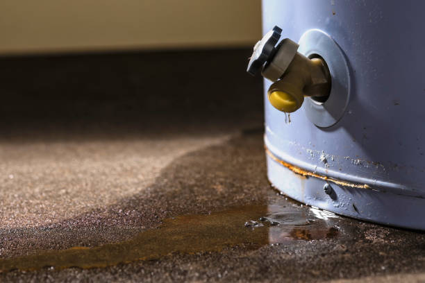 Best Water damage restoration insurance claims  in Beebe, AR