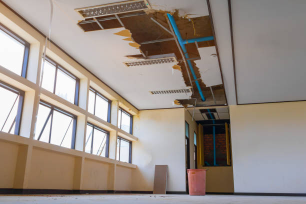 Best Water damage restoration near me  in Beebe, AR