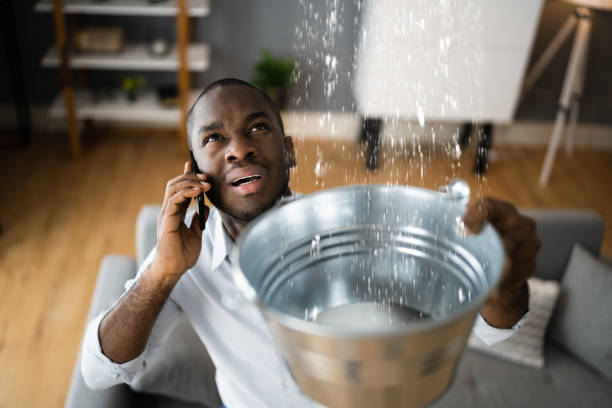 Best Water damage restoration mold remediation  in Beebe, AR