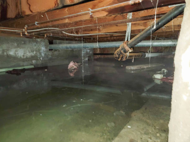 Best Residential water damage restoration  in Beebe, AR