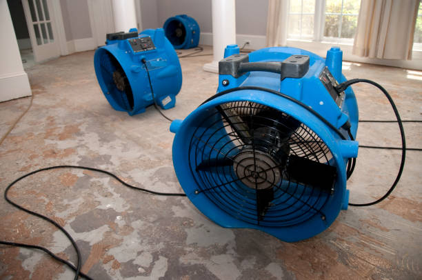 Professional Water damage restoration in Beebe, AR