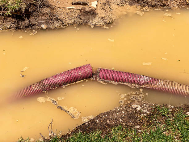 Water damage restoration mold remediation in Beebe, AR