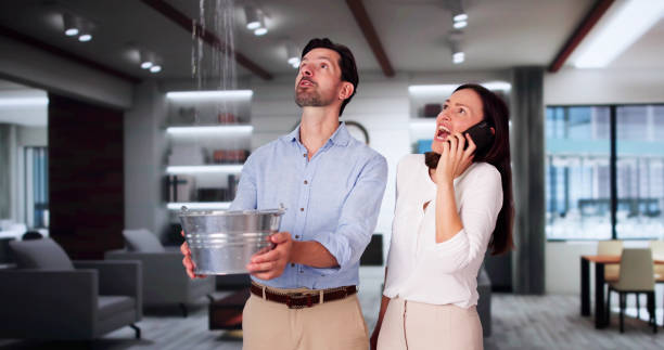 Best Water damage contractors near me  in Beebe, AR