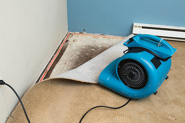 Beebe, AR Water damage restoration Company